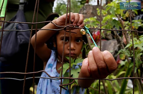 Masungi Georeserve solidarity walk
