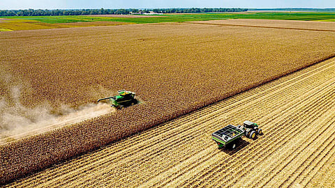 U.S. farmers face losses as Trump's tariffs hit