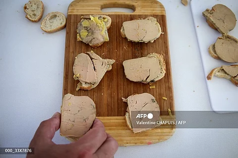 Faux gras? Scientists craft 'more ethical' version of French delicacy