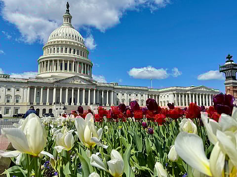 Judges have argued Trump is overstepping the bounds of the executive branch