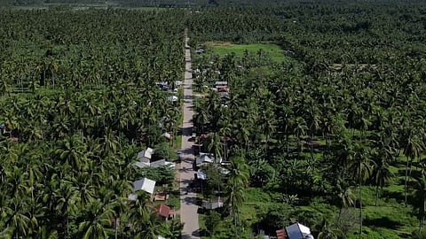 Concreting of Katibpuan, North Binangga and Linamunan road transforms local infrastructure in Talayan, Maguindanao del Sur and provide easy and reliable community connectivity and access