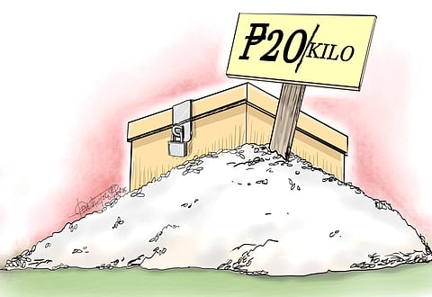 Rice with dash of salt