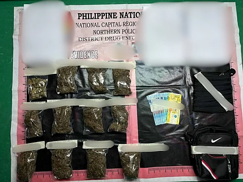 The recovered marijuana leaves and kush after a buy-bust operation on Friday in Bagong Silang, North Caloocan