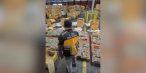 The Bureau of Customs intercepted a P101-million shipment of marijuana from Thailand .