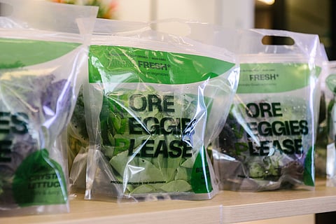 Ayala Land Leisure Estates and Metro Pacific Agro Ventures have partnered up to bring reduce Palawan island's reliance on imported produce.