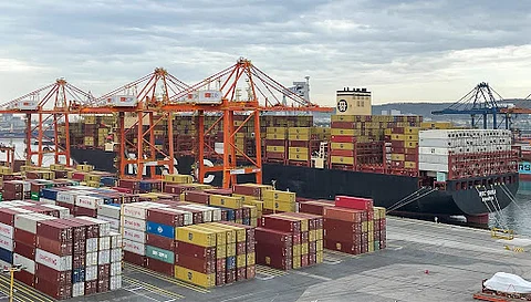 The MSC Daria at BCT