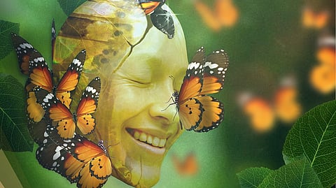 Virgin Labfest XX plays now ripe for the picking