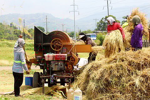 LGUs tapped for affordable rice Farmers in Bagac thresh rice stalks in Bataan province. The Department of Agriculture is collaborating with selected local government units to facilitate the nationwide sale of rice from the National Food Authority.
