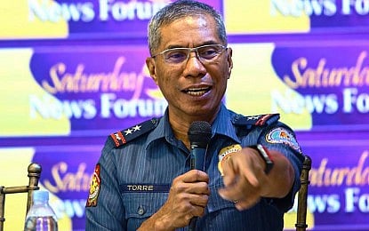 Torre gets things done — Remulla