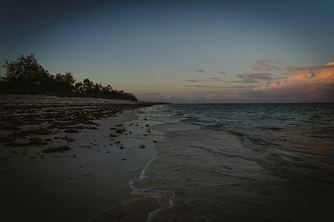 A BEACH in Watamu, photographed on 22 May 2025, serves as a critical nesting ground for sea turtles. Around 50 to 100 nests are monitored annually through the Watamu Turtle Watch program under Local Ocean Conservation. As oceans face rising temperatures, acidification and loss of biodiversity, nesting sites like this remain vital for species survival, especially for green turtles which make up 95 percent of recorded nests in the area.