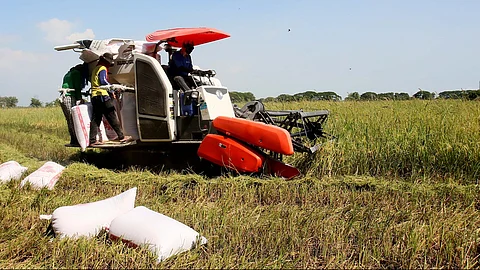 AGRICULTURE Secretary Francisco Tiu Laurel Jr. and Labor Secretary Bienvenido Laguesma sign a partnership deal on Monday to expand the P20 rice program, targeting minimum wage earners while supporting local farmers through NFA-sourced grains and expanded KADIWA access.