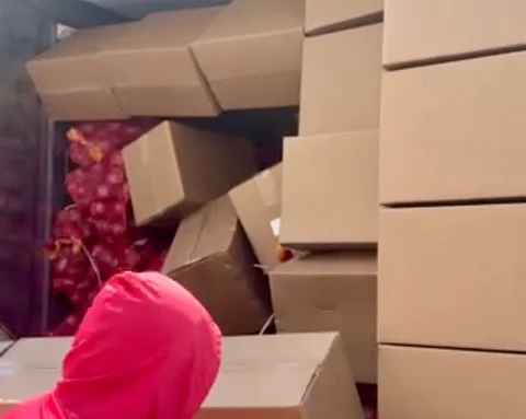 INSPECTORS uncover crates of fresh red onions concealed in a shipment declared as frozen goods at the Mindanao International Container Terminal in Misamis Oriental, part of a P2-million smuggling attempt intercepted by DA and BOC authorities.