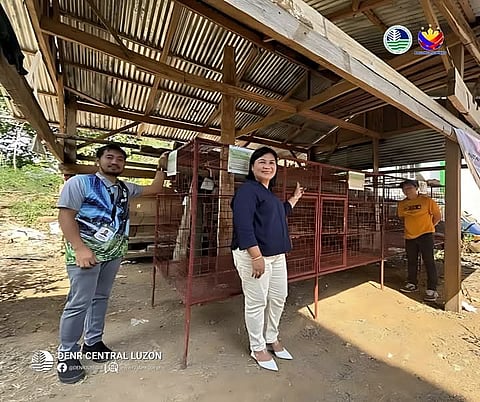 Zoobic, DENR team up for wildlife rescue in Bataan