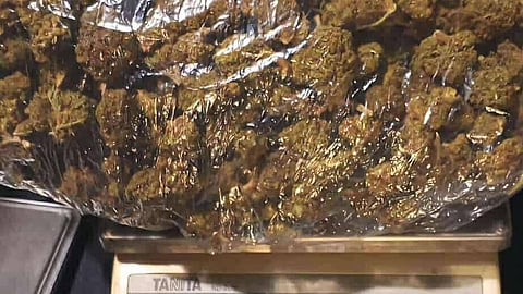 “Kushy” pillows worth P700K seized at Clark port