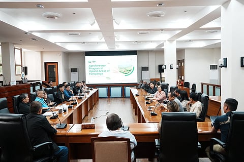 Pampanga launches integrated agroforestry drive for food security