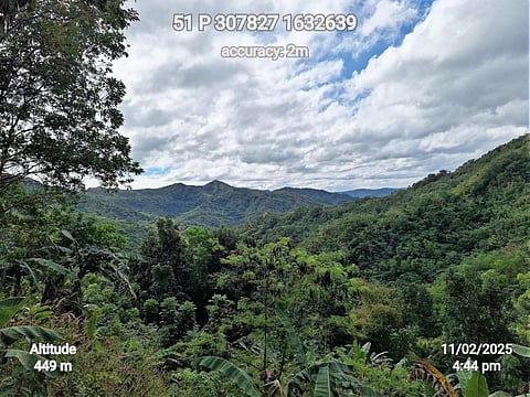 DENR ramps up Marikina watershed rehab with 3M-tree goal