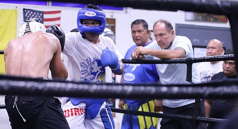 Sparmate rocked by Pacman power