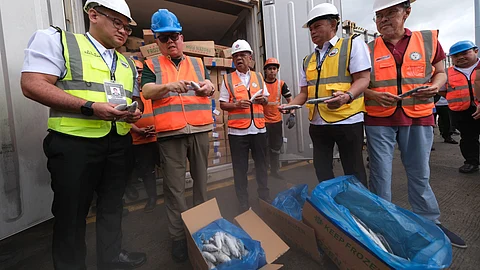DEPARTMENT of Agriculture officials inspect two container vans of frozen mackerel seized at the Port of Manila for alleged smuggling. The DA is now seeking their release after tests confirmed the fish are safe for consumption.