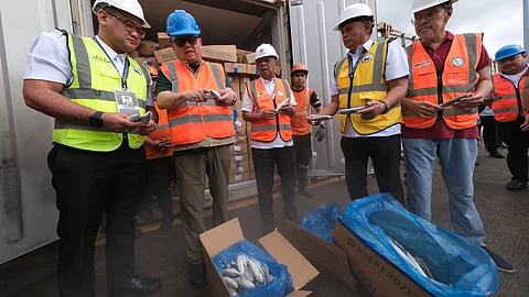 Officials from the Department of Agriculture inspect two container vans of seized frozen mackerel at the Port of Manila for alleged smuggling. The DA is now seeking their release after tests confirmed the fish are safe for consumption.