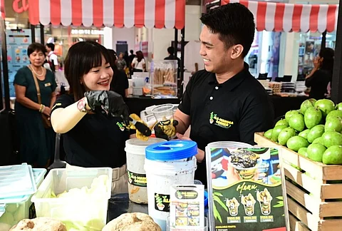 Young entrepreneurs are making their mark in the SM for MSMEs program—including Ala-Mangga Corner owners Wendell Zulaybar and Anna Marie Malatumbaga, who represent the next generation of business leaders.