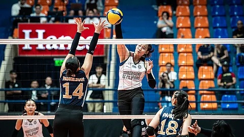 NU, UP face Davao spikers