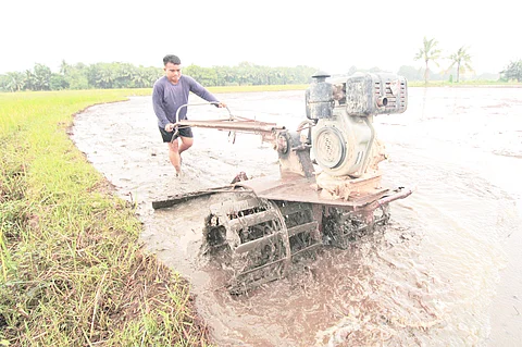 DESPITE the inclement weather, a farmer plows his land in Morong, Bataan.