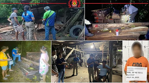 Illegal lumber trader nabbed in Isabela