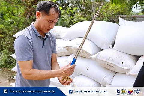 Provincial Food Council buys wet palay from Novo Ecijano farmer.