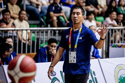 Tenorio tapped to coach Magnolia