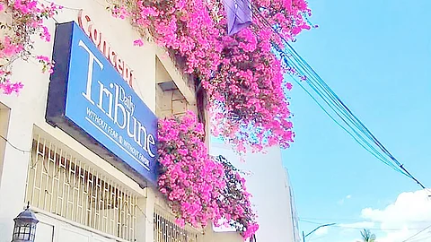 Blossoms and bylines In the heart of Makati City, the DAILY TRIBUNE’s office blooms nearly year-round, where headlines rise with the petals.