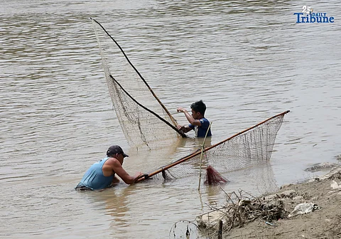 A fisherman uses traditional methods to catch freshwater tilapia at Marikina River Park in Marikina City on Wednesday. After weeks of rainfall, locals turn to fishing as a way to supplement their daily food supply.