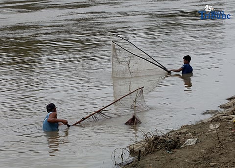 A fisherman uses traditional methods to catch freshwater tilapia at Marikina River Park in Marikina City on Wednesday. After weeks of rainfall, locals turn to fishing as a way to supplement their daily food supply.