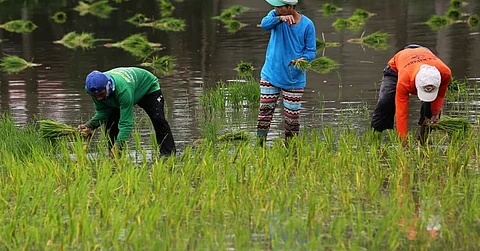 Can Israeli tech help feed Phl?