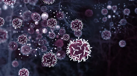 It’s here: Targeted cancer surgery without surgery