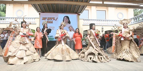 Las Piñas Waterlily Festival: Celebrating Sustainability and Innovation
