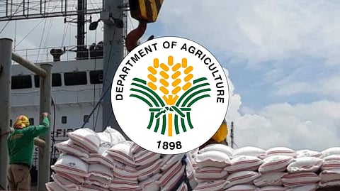 Higher tariff on rice imports proposed