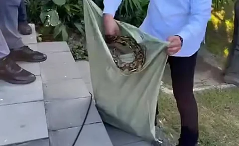 PAF personnel suffers snake bite