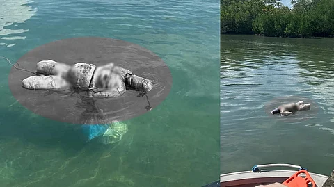 Missing Ormoc woman found dead