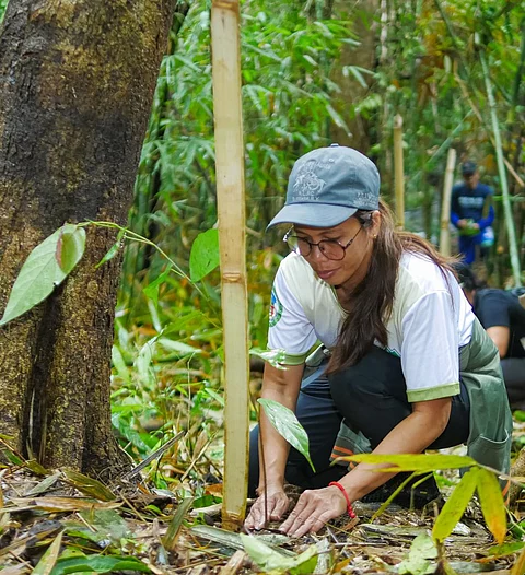 A volunteer plants a sapling at a protected watershed as part of the 2025 ‘Plant for Life’ program initiated by the Maynilad Water Services Inc. which targets to plant 180,000 native trees in the Ipo and other critical watersheds.