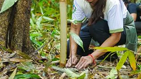 Maynilad targets 180,000 trees to protect vital watersheds