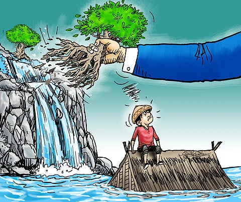 Want to help? Return the mangroves