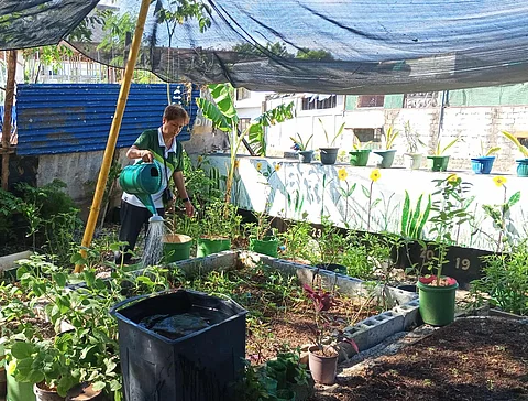 A VOLUNTEER (below) waters plants at the FAITH Garden as mothers (inset) from Parañaque City get their free vegetables harvested from the makeshift greenhouse.