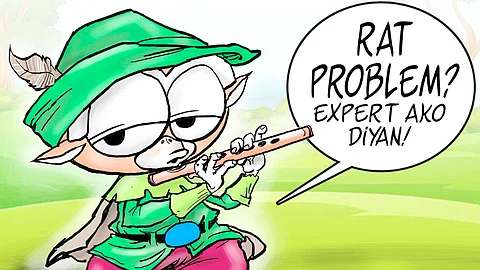 Ferrets and pellets