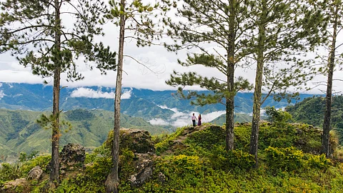 Losing spark: Human connection to nature drops in 200 yrs