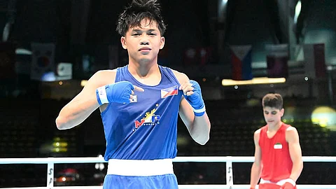 Vicera, Baguhin fall short in Asian tilt