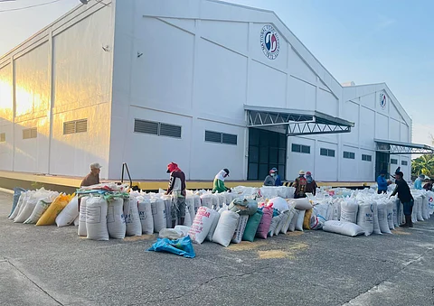 Manila rice prices drop to P35/kilo