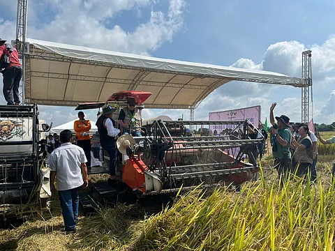 The province of Nueva Ecija is celebrating the Harvest Festival for Double Dry Crop 2025 at the National Irrigation Administration (NIA) in Barangay Pamaldan here on August 12, 2025.
