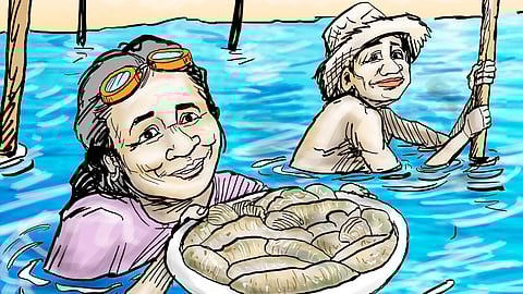 THE sea ranch watchers want to restore the sea cucumber population.