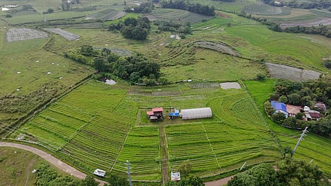 The Gulayan sa Bayan (GSB) at Barangay Basuit in San Ildefonso, Bulacan.