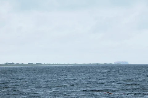 NEW YORK, NEW YORK - AUGUST 20: A person swims in Brighton Beach amid Hurricane Erin on August 20, 2025 in the Coney Island neighborhood of the Brooklyn borough in New York City. NYC Mayor Eric Adams and Iris Rodriguez-Rosa, the parks commissioner, announced that city beaches would be closed for several days as rip currents and rough waters are expected along the East Coast due to Hurricane Erin. Lifeguards will not be on duty during the closures but will be stationed along the coastline along with members of the Parks Enforcement Patrol to prevent people from attempting to swim.